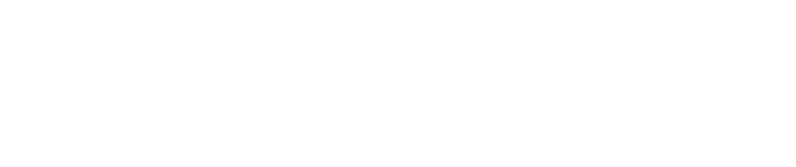 SHINYA CHEM 